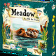 Meadow_Downstream_box_3d_front_left_fr.png