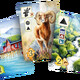 Meadow_Downstream_cards_2.png